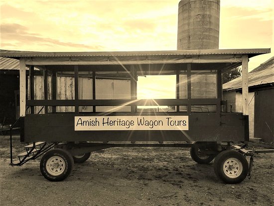 step-back-in-time-with